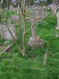 image of grave number 685199